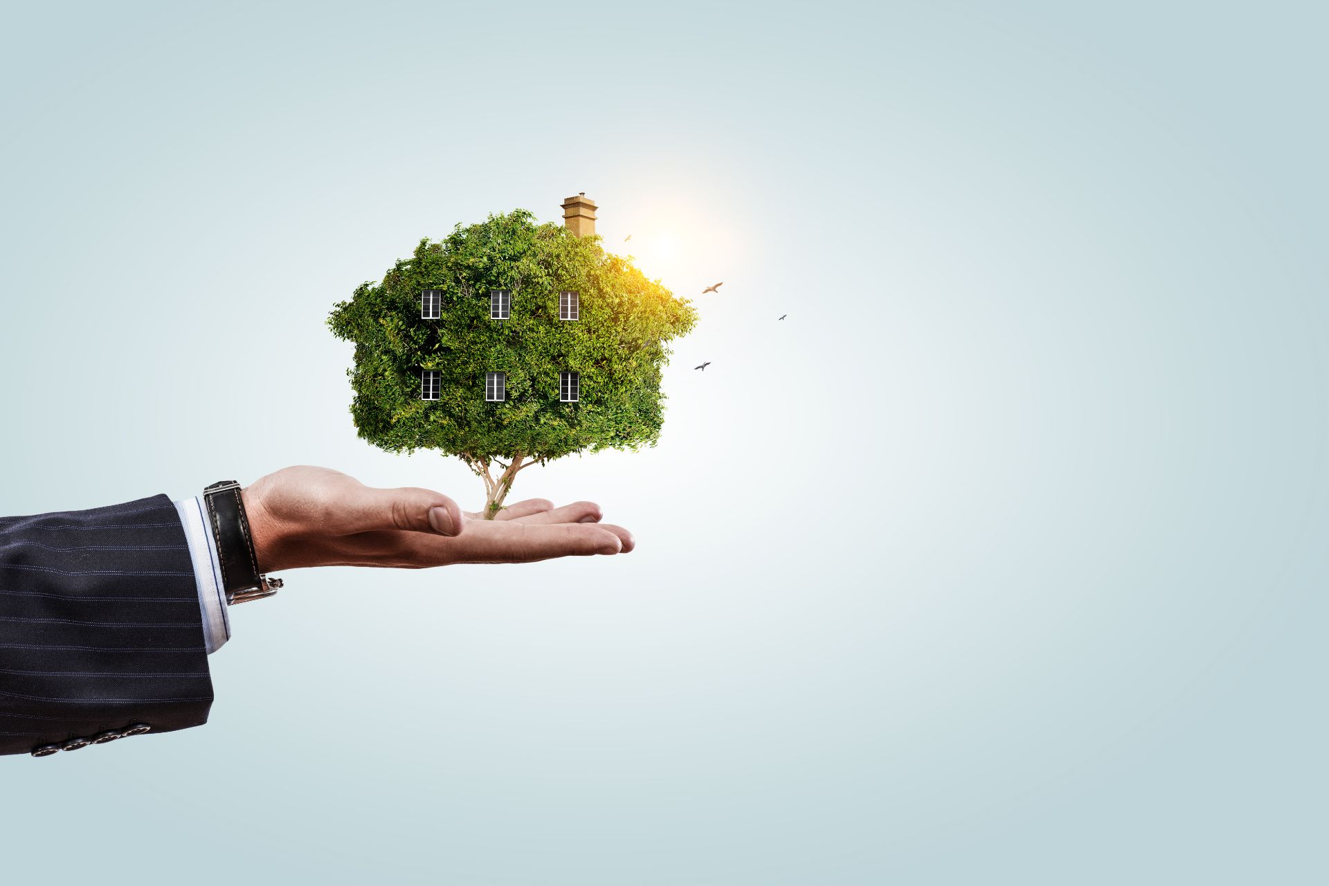 Doroszko Rénovation : Économisez aujourd'hui, préservez demain